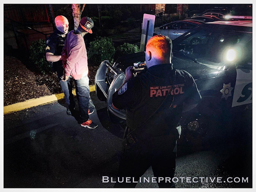 Blue Line Protective Services Officers Nab Person In Stolen Vehicle