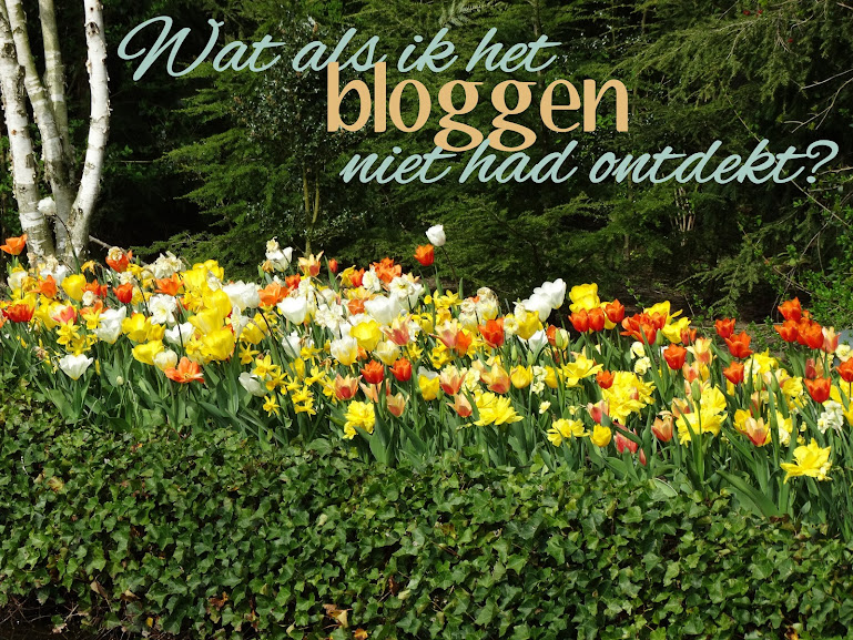 Wat als ik het bloggen niet had ontdekt?