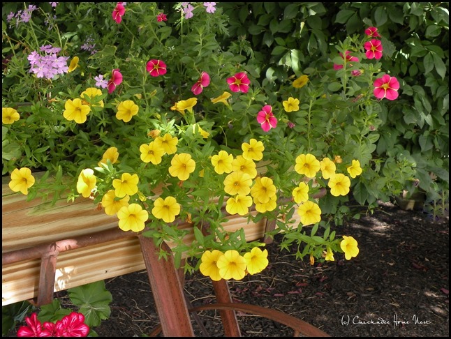 Summer flowers and berry cart @ Chickadee Home Nest