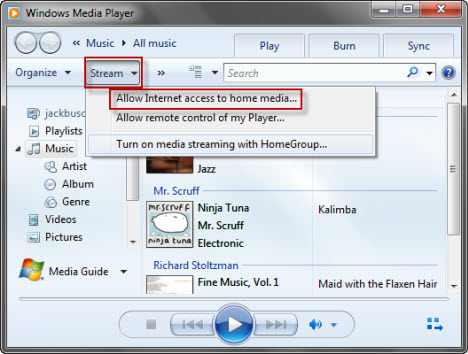 Windows Media Player 12