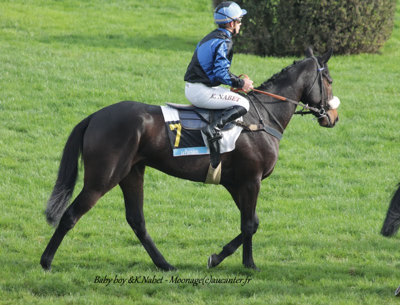 Photos Auteuil 8-11-2015 (48h de l'obstacle) IMG_6782