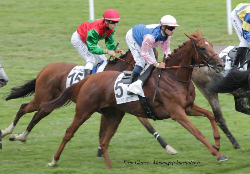 Photos Maisons-Laffitte 5-07-2015 IMG_2268