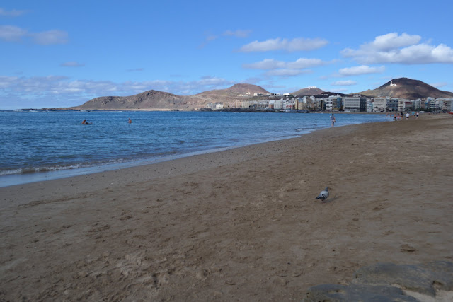 GRAN CANARIA MAR Y MONTE - Blogs de España - BARRANCO DE GUAYADEQUE Y LAS PALMAS DE GRAN CANARIA (11)