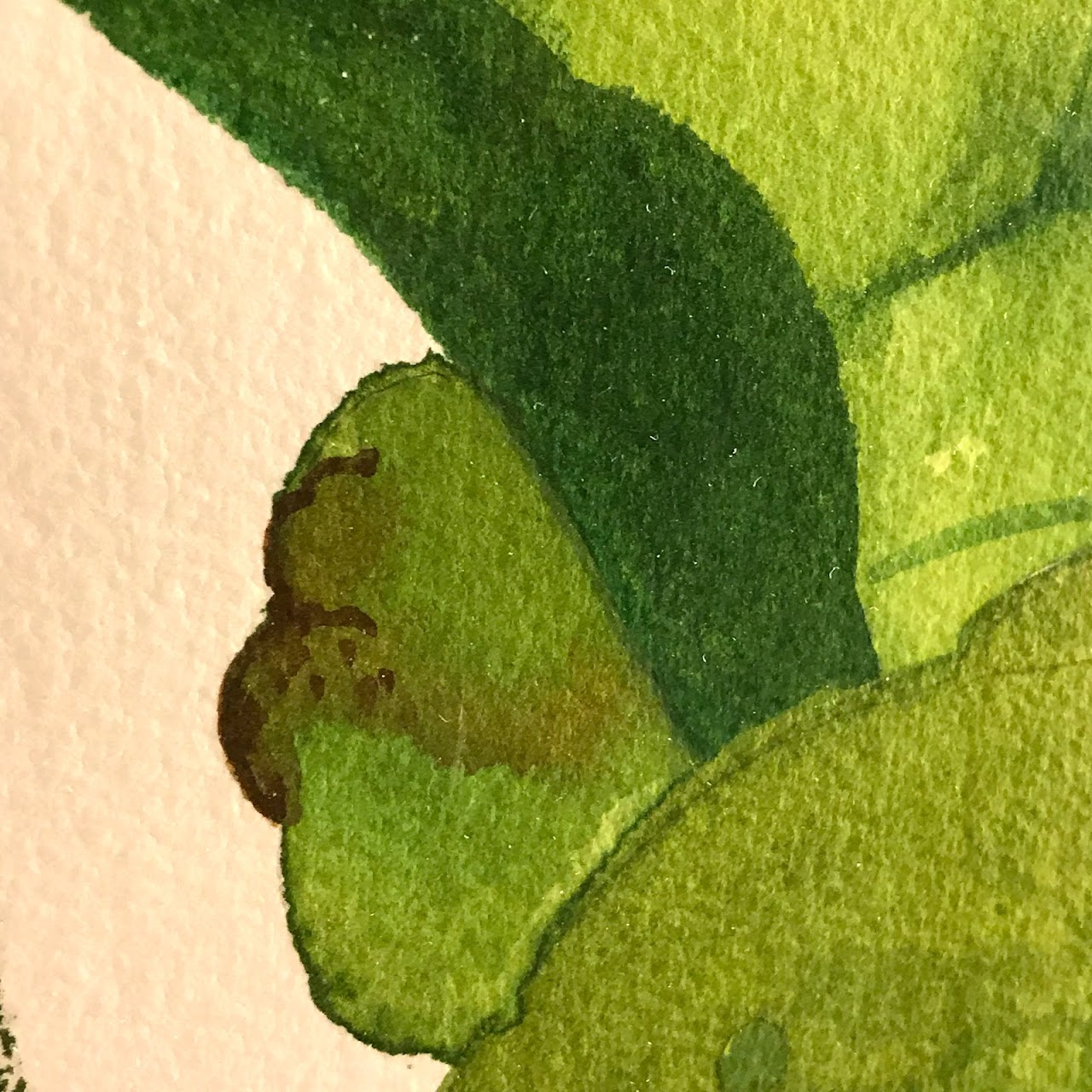A. Leigh Signed Watercolor