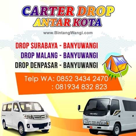 Carter Sewa Drop Mobil Murah Antar Kota Surabaya Malang Denpasar Banyuwangi Carter Sewa Drop Mobil Murah Antar Kota Surabaya Malang Denpasar Banyuwangi