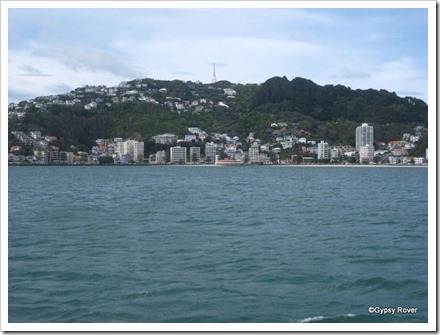 Oriental Bay from Wellington
