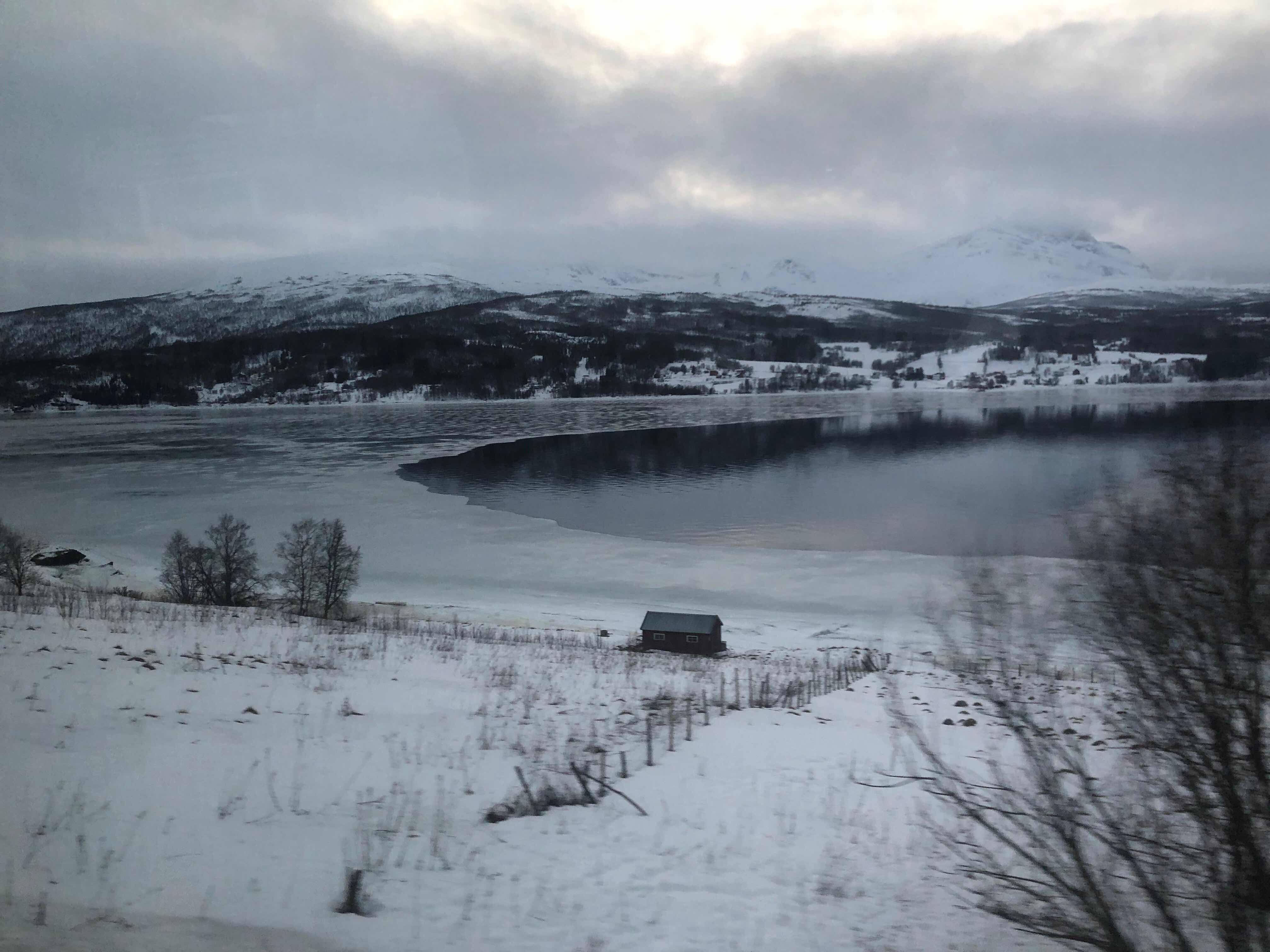 Ice seen on freshwater side of fjords on our Viking Sky land excursion (Source: Palmia Observatory)