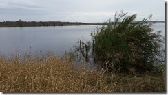 Old fishcamp dock