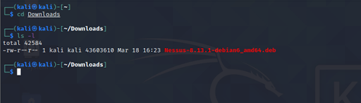 how to use nessus essentials