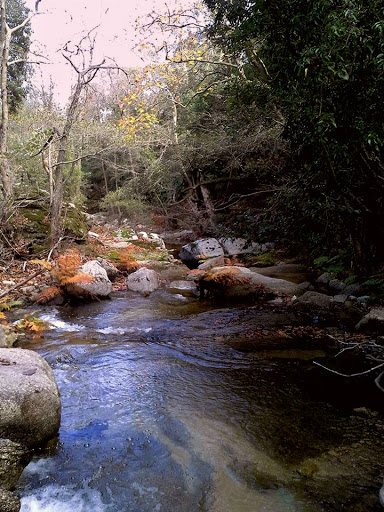 Crossing the stream of the river