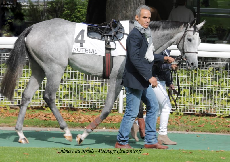 Photos Auteuil 26-09-2015 IMG_3899