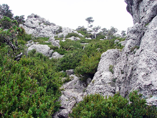 senderismo: Mont Caro por el barranco de Lloret