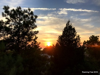 Sunset through the woods