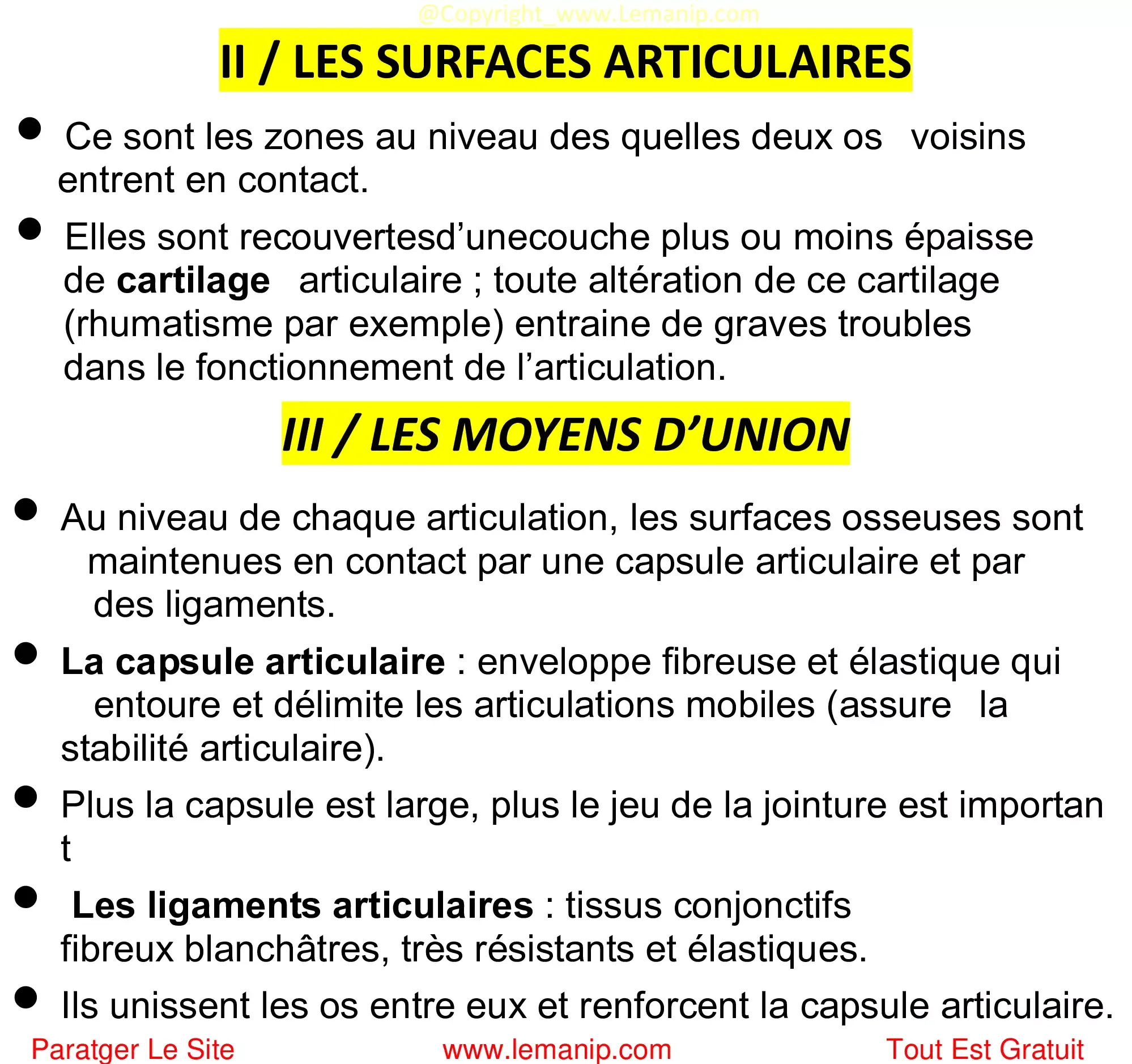 SURFACES ARTICULAIRES