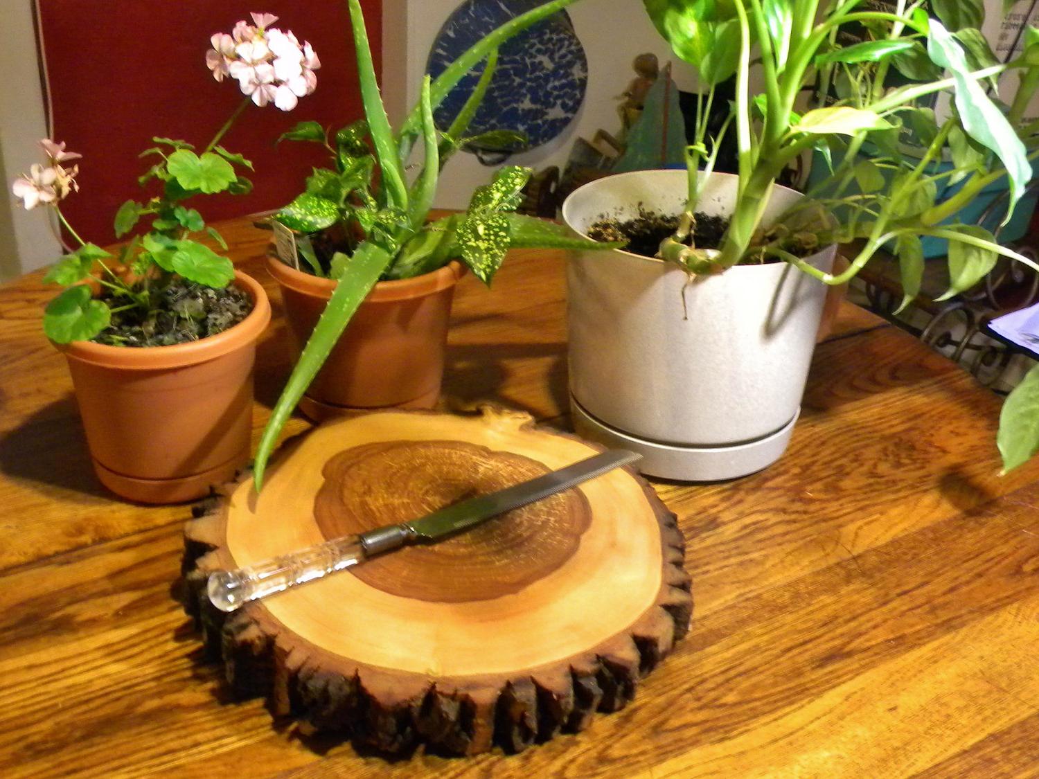 Green Ash Wedding Centerpiece,