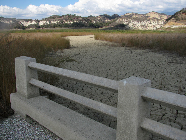 mud flat