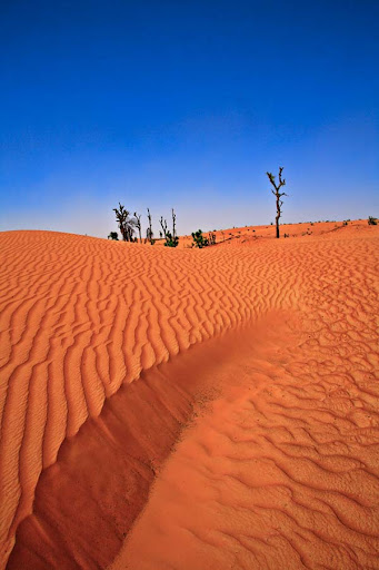 15
Amazing Examples of Desert Landscape Photography
