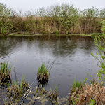 20140419_Fishing_Shpaniv_020.jpg