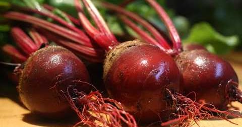 Resep Jus Buah Bit Merah Untuk Terapi Hipertensi  Resep 