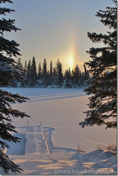 sundog