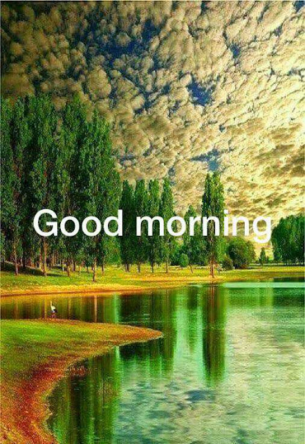 Good Morning Pictures 2023 In Hindi Punjabi English Good Morning Pictures