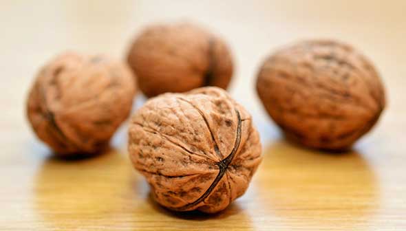 Walnuts