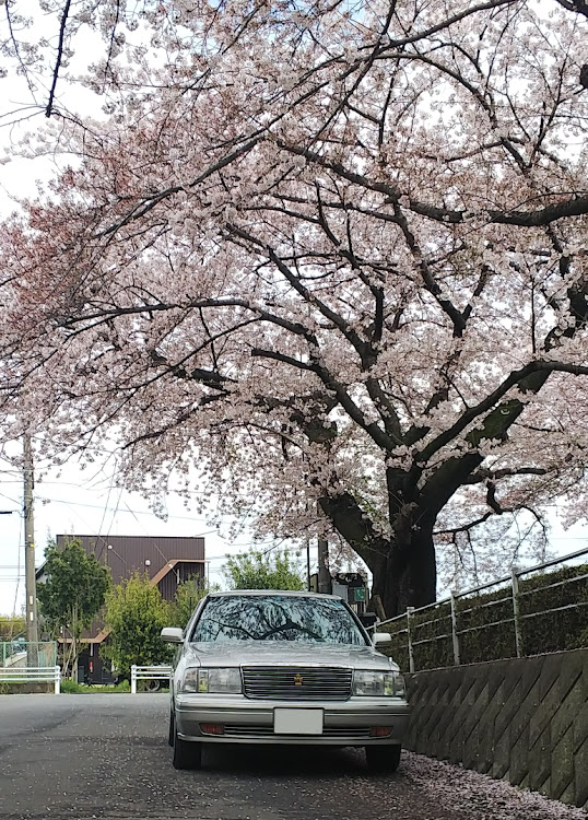 の投稿画像2枚目