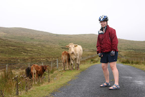 Laura getting closer to the cows