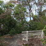 Seat near Taylors Bay Lookout (69757)