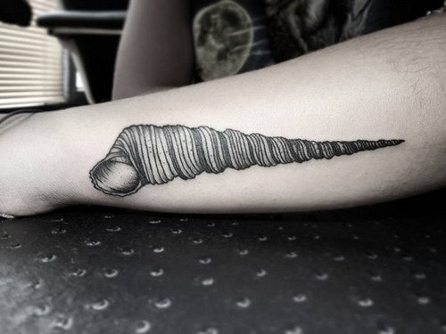 este_deslumbrante_shell_de_tatuagem este_deslumbrante_shell_de_tatuagem