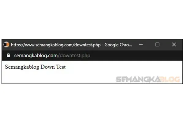 Tampilan di downtest.php