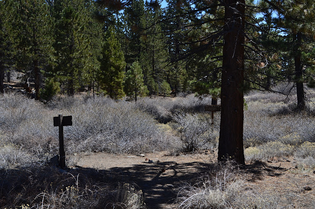 signs at the junction to Sheep Camp and Lily Meadows