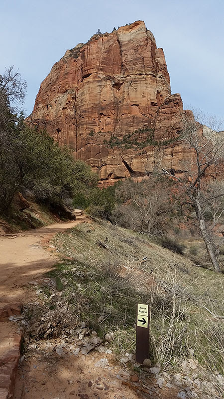 Etapa 06: Zion NP - Southwest USA Road Trip Loop (21)