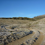 Cascade Trail south of the Thredbo River (280640)