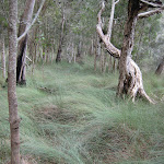 Near the Lake at Korsmans Landing