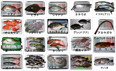 船釣りアーカイブ500×307.jpg