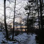 Nytårsbilleder