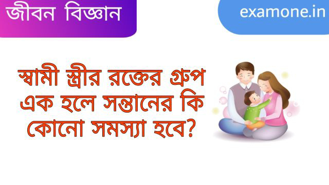 স্বামী স্ত্রীর রক্তের গ্রুপ এক হলে কি সন্তানের কোনো সমস্যা হয়?