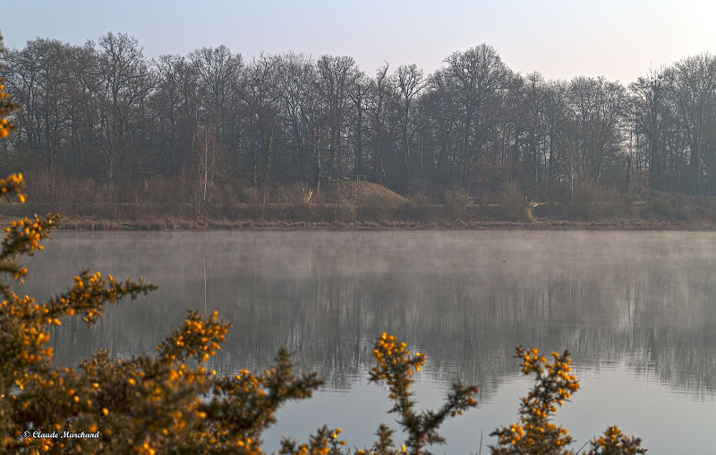 Photos non Lumix du 10 août 2012 Etang01_HDR4