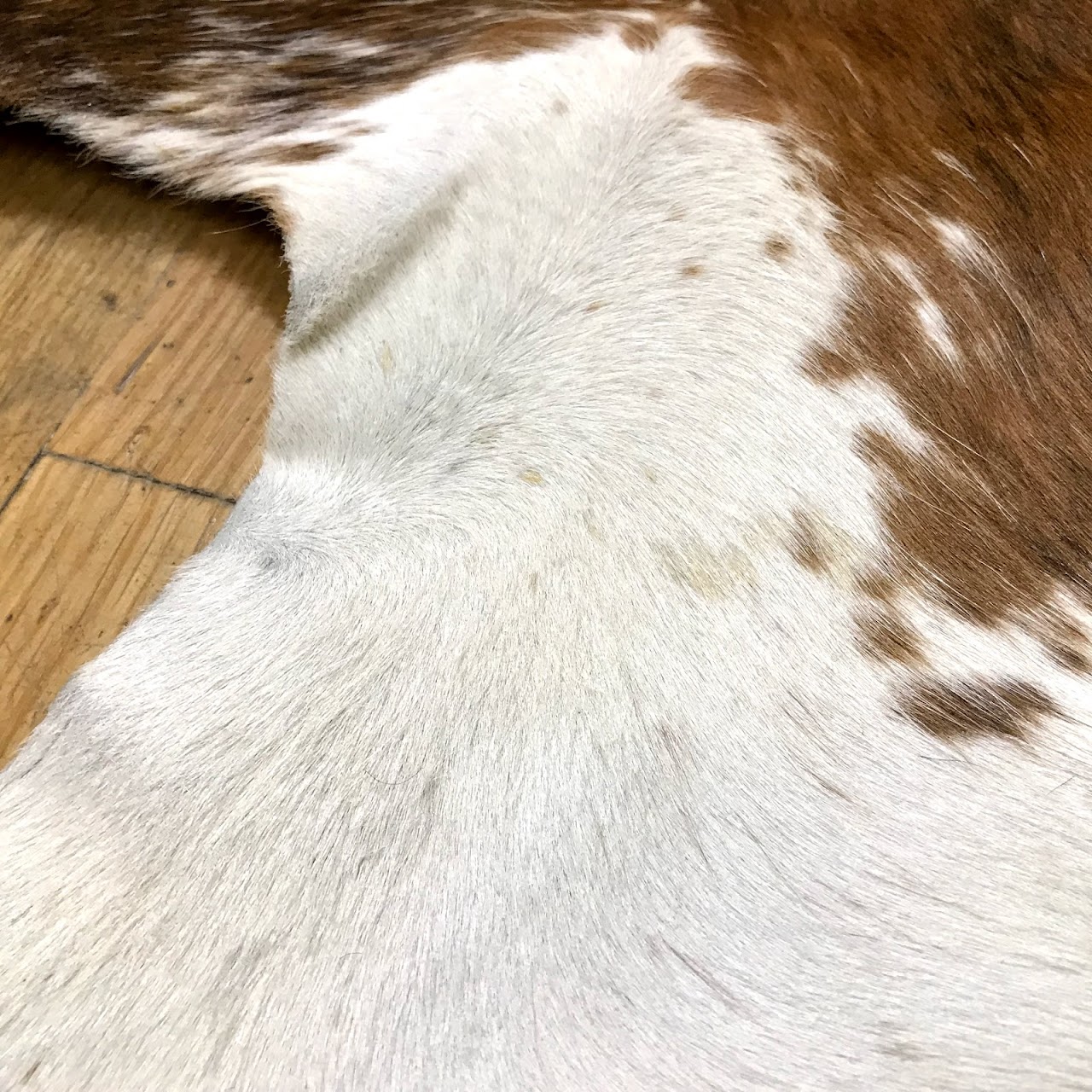 Cowhide Rug