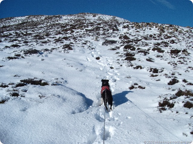 carrock fell 003