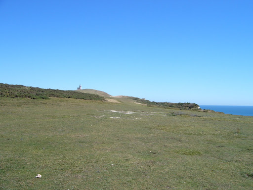 To the Lighthouse 