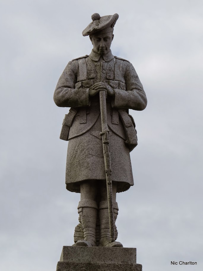 IMAGE: https://lh3.googleusercontent.com/-unvsYbX_IIg/VVTd-bc6eRI/AAAAAAAAahM/RyyokphSgrs/s912-Ic42/IMG_5523.JPG