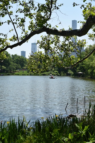 DSC_6975 DSC_6975
