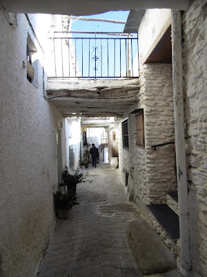 La Alpujarra. Un día - GRANADA INTENSIVO DE ARRIBA-ABAJO con niños (21)