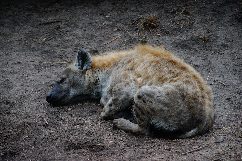 Kruger National Park