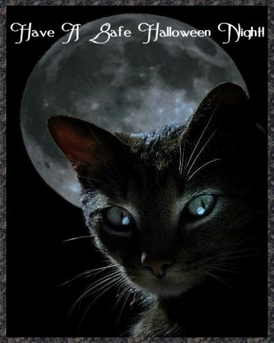 gatos halloween (3) gatos halloween (3)