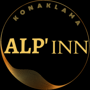 ALP'inn KONAKLAMA logo