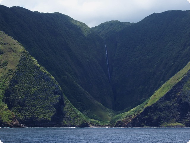 La Monsanto mette il suo zampino di morte anche alle Hawaii.