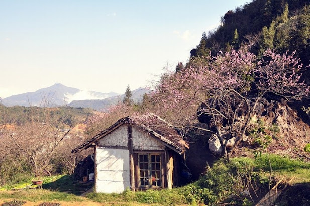 Thap len ngon lua hong giua dai ngan Sapa xa tham